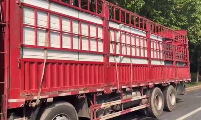 旭東PVC圍擋批發(fā)直供龍崗工地，2500米圍擋當天閃電送達